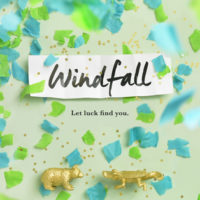 Windfall by Jennifer E. Smith | Review